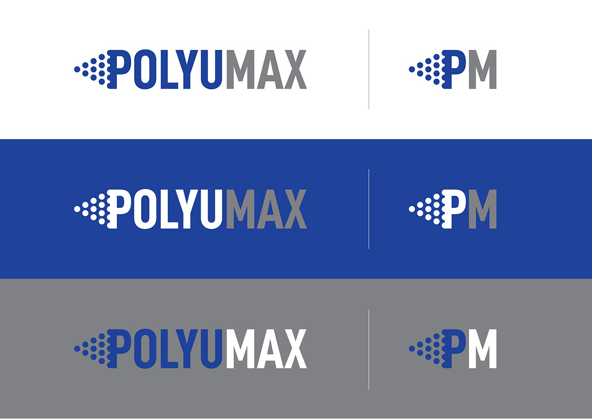 paraguay design polyurea polyurethane blue brand logo