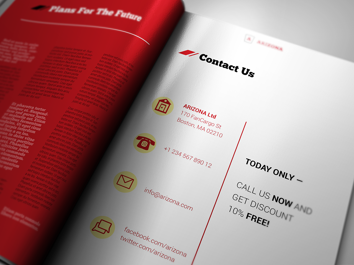 brochure  business  graphic design