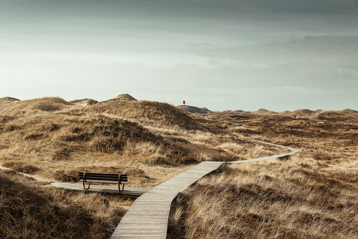 Landscape amrum Isle Island dunes lighthouse sand beach North Sea North Frisia germany