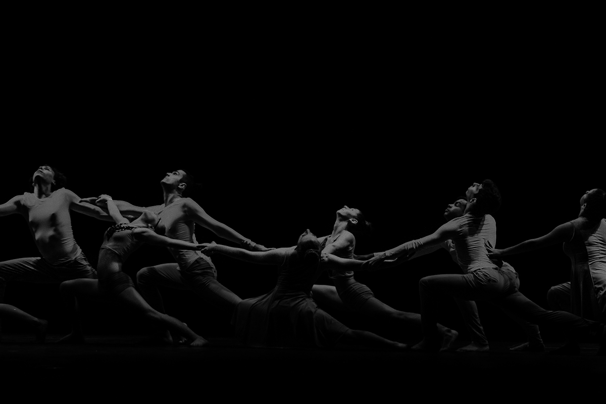 dancer dança palco cena laura camarano dança contemporânea ballet jazz bailarinos pernas