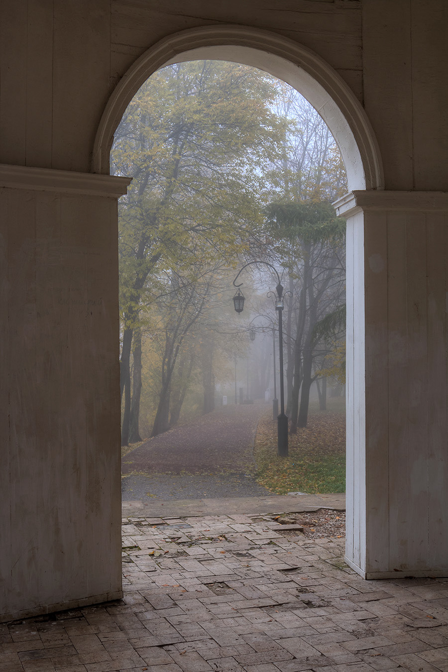 Landscape Photography  Russia autumn fog foliage mist paysage city north