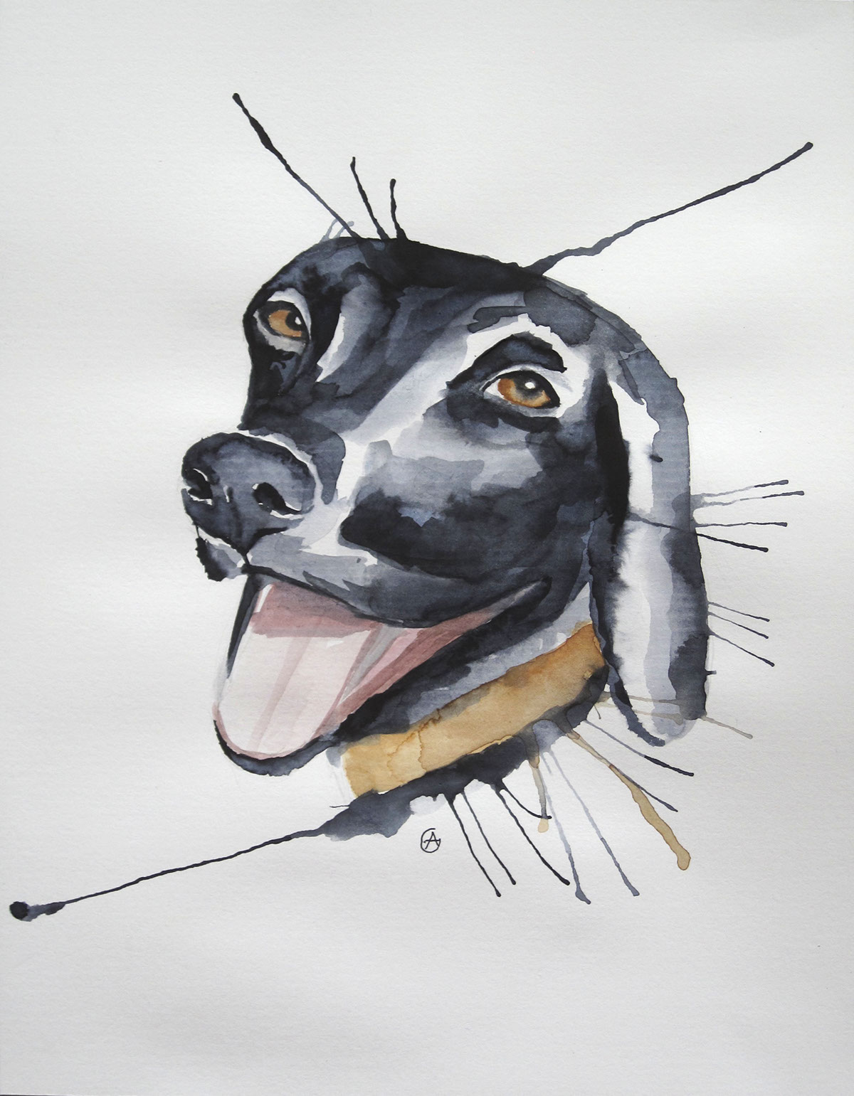 Alies Design watercolour dogs vizsla black dog vegetables veggies art watercolor