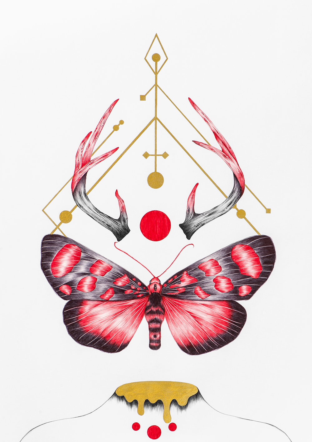 Transformation change peony yip solo show butterflies moths black red geometry