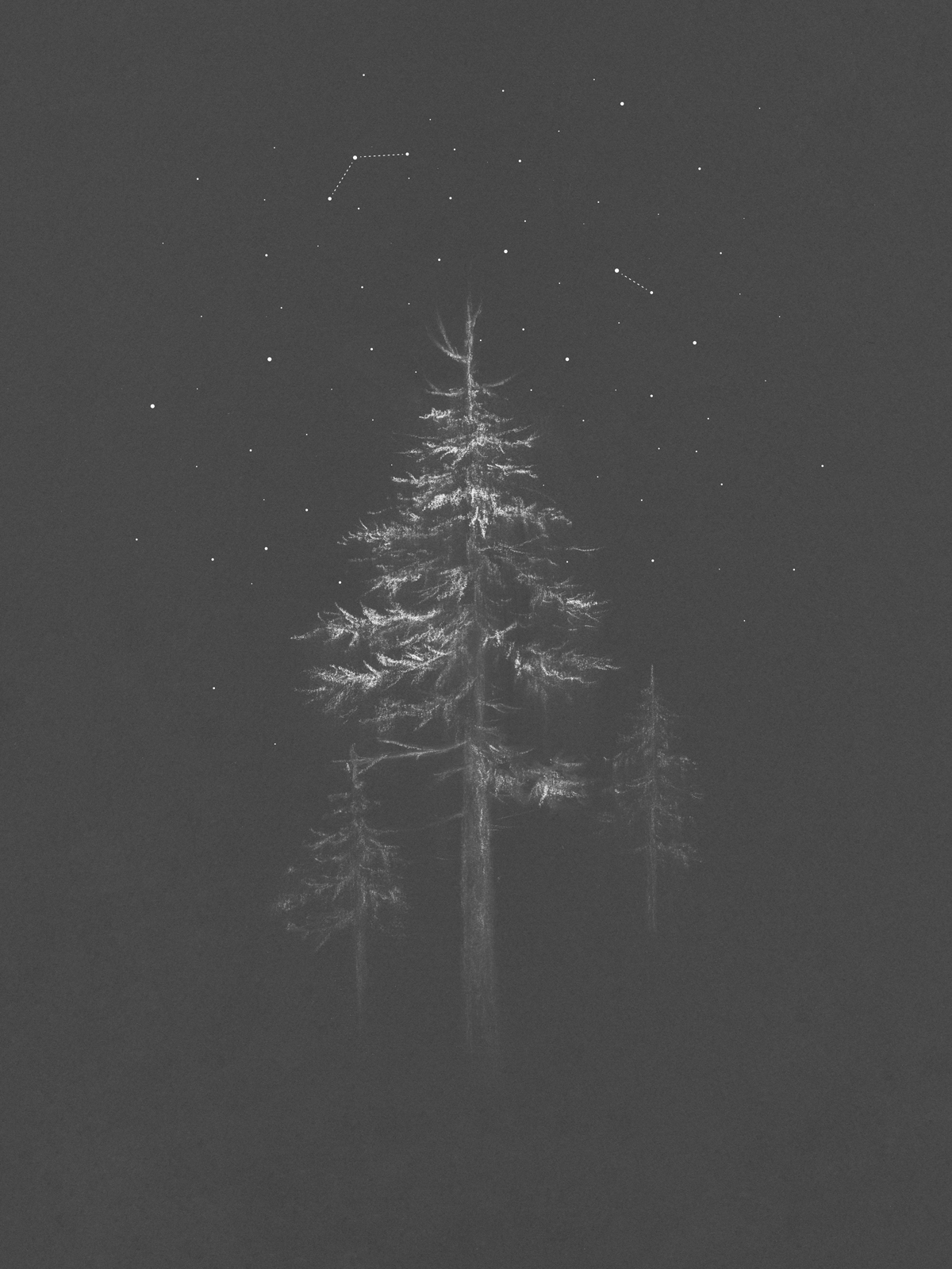 trees grey pine charcoal forest winter stars snow constellation minimal