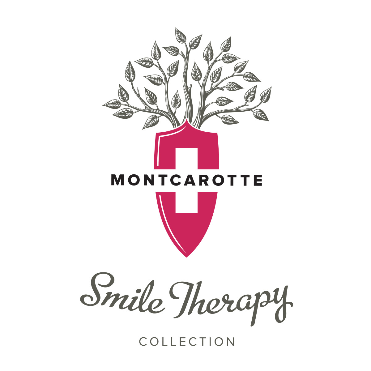 Montcarotte Logo Design  moscow  identity cosmetics package luxury tooth