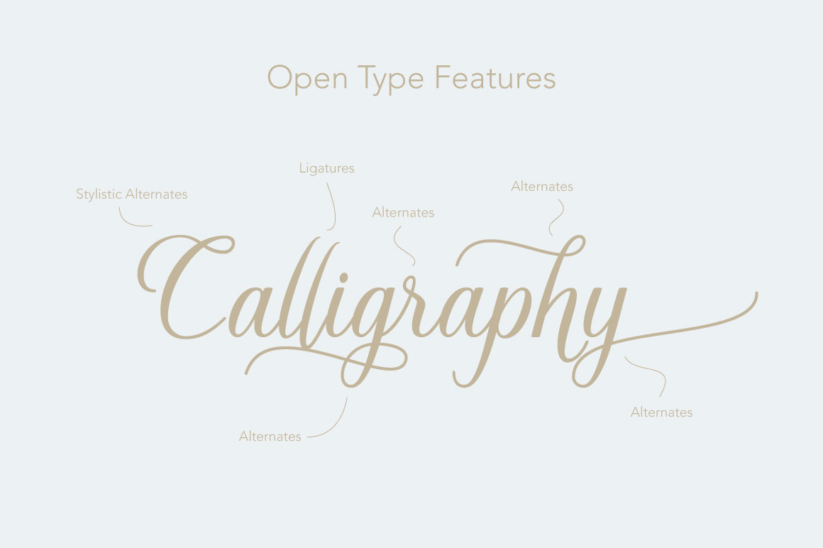Calligraphy   lettering handdrawing modern Script elegant decorative font typography  