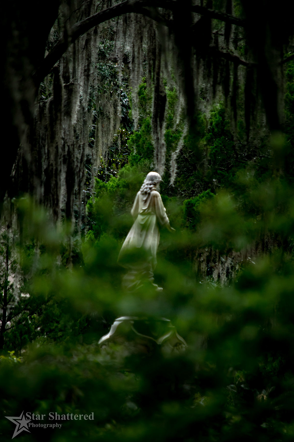 Adobe Portfolio Photography  digital photography  statue art grave yard