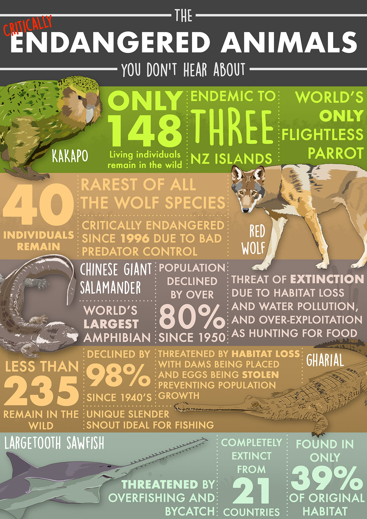 Infographic Endangered Animals From Around The World - Vrogue