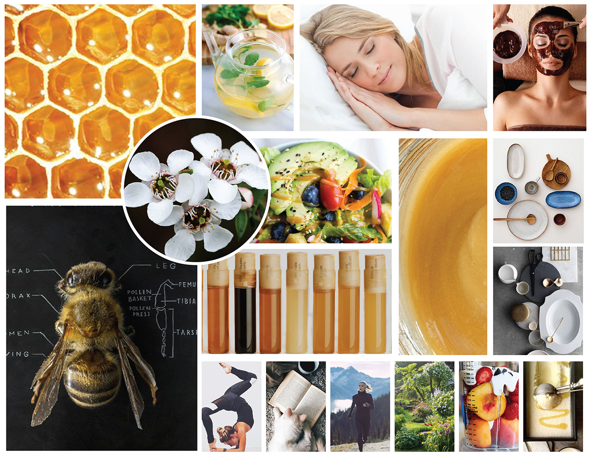 honey Packaging geometric jar bottle high-end healthy Food  product packagedesign