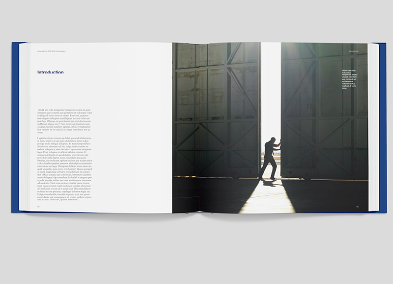 Adobe Portfolio book design identity 30 marque