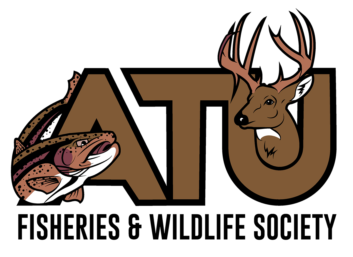 adobe illustrator animals brand identity deer fish logo Logo Design Nature wildlife