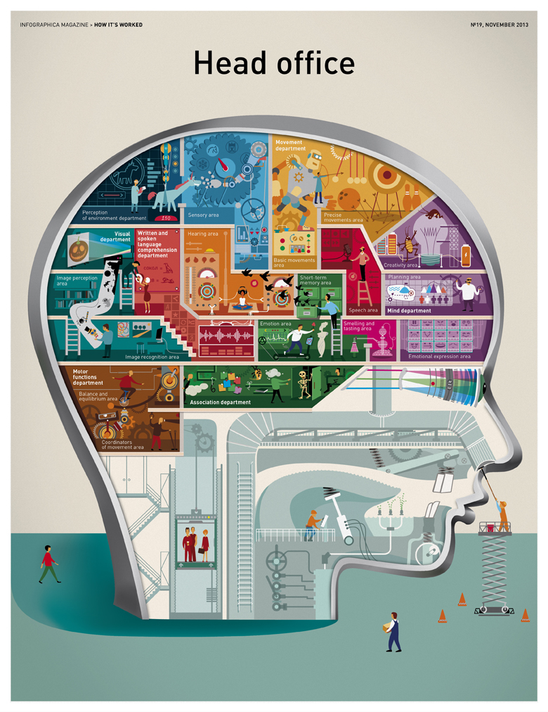 infographics brain