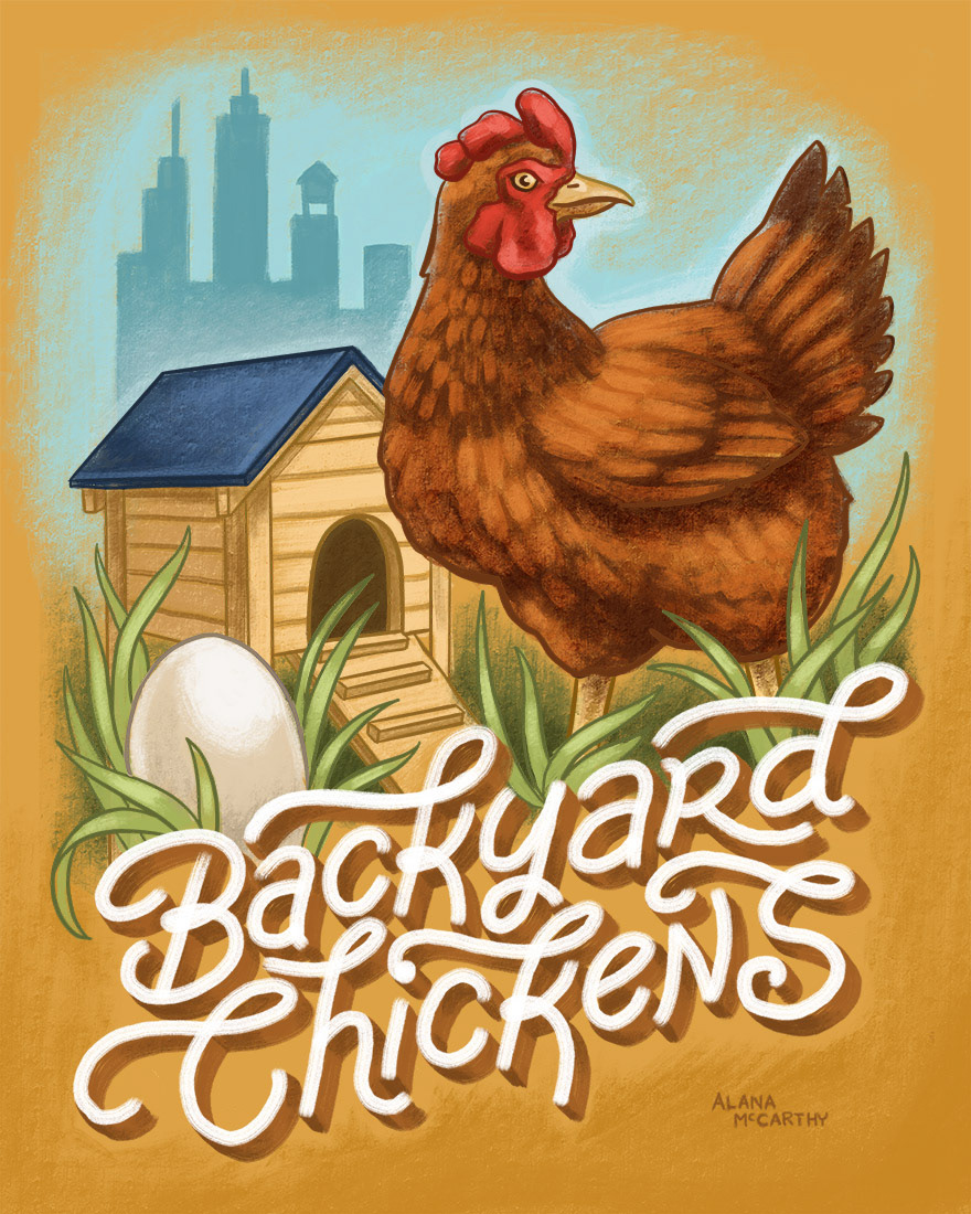 ILLUSTRATION  Handlettering typography   Editorial Illustration animals urban living City Life chicken farming organic food