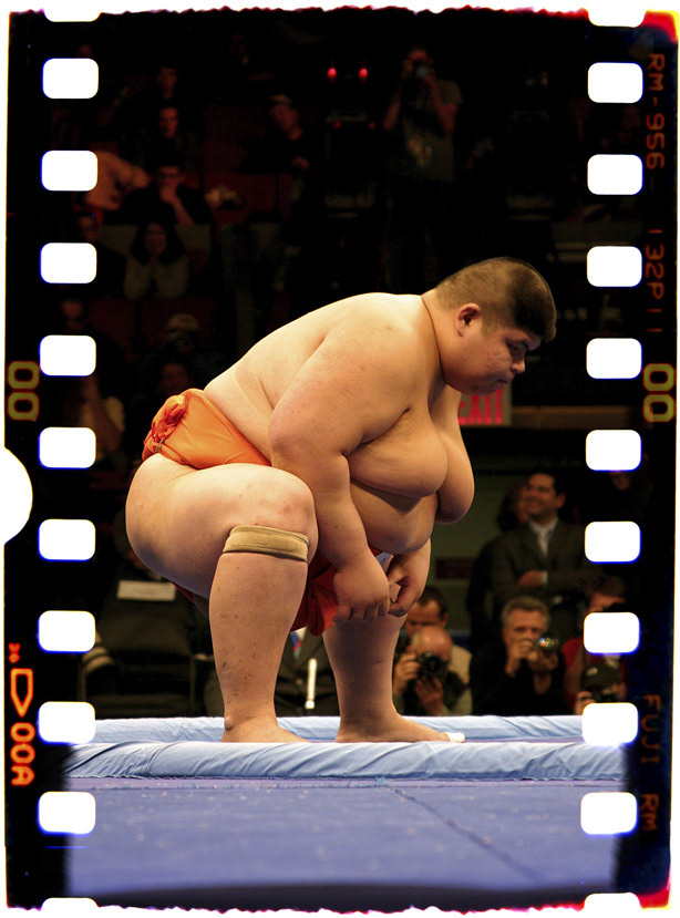 Musashimaru Koyo sumo 9/11 disney japan animals Sept 11 yo gabba gabba