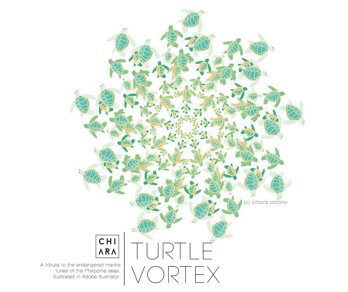 pattern vortex Turtle hexagon