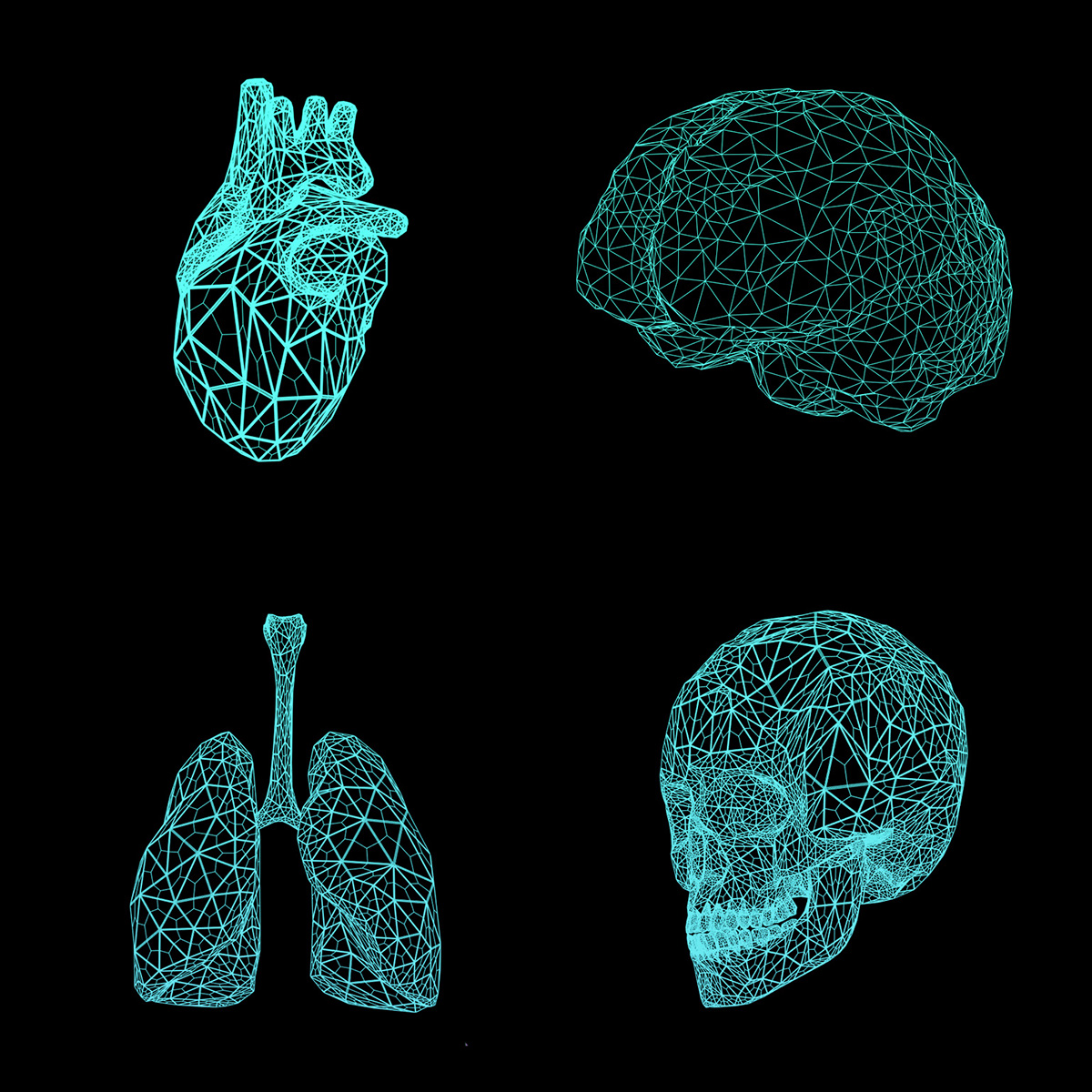 CGI Triangulated glass crystal medicine organs