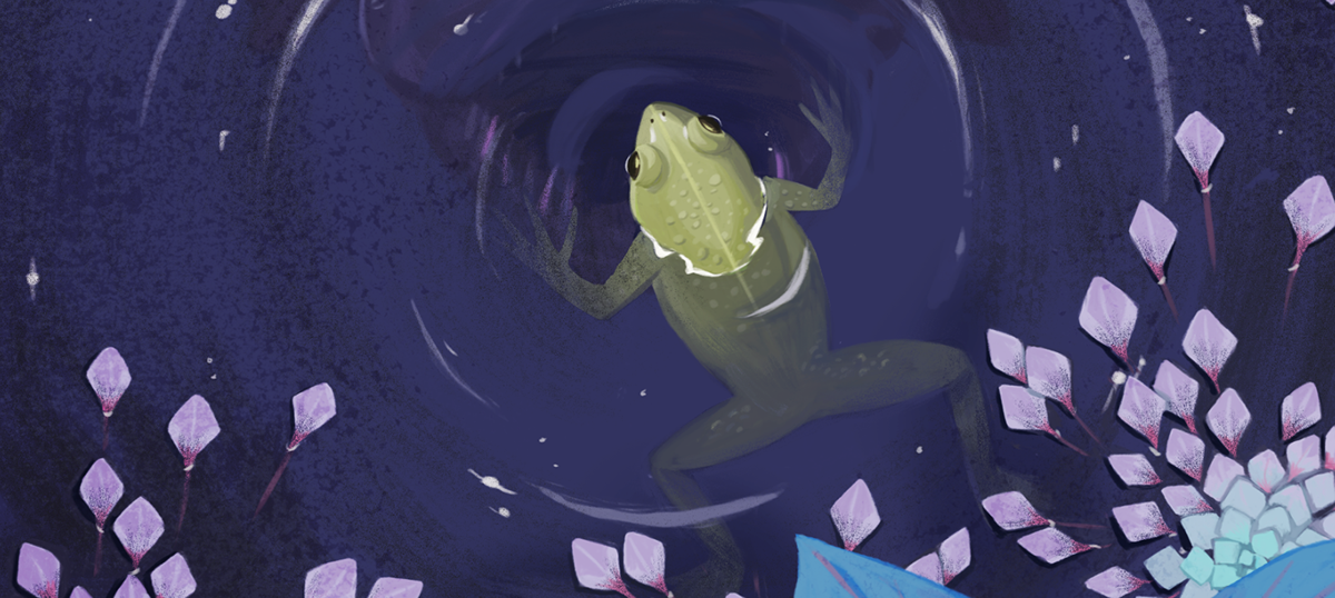 ILLUSTRATION  frog moon night stars plants digital painting fish bait