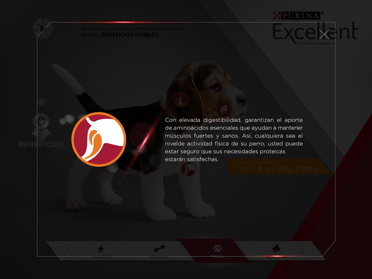 app dogs perros Purina UI ux tablet iPad Web prototipe application aplicación