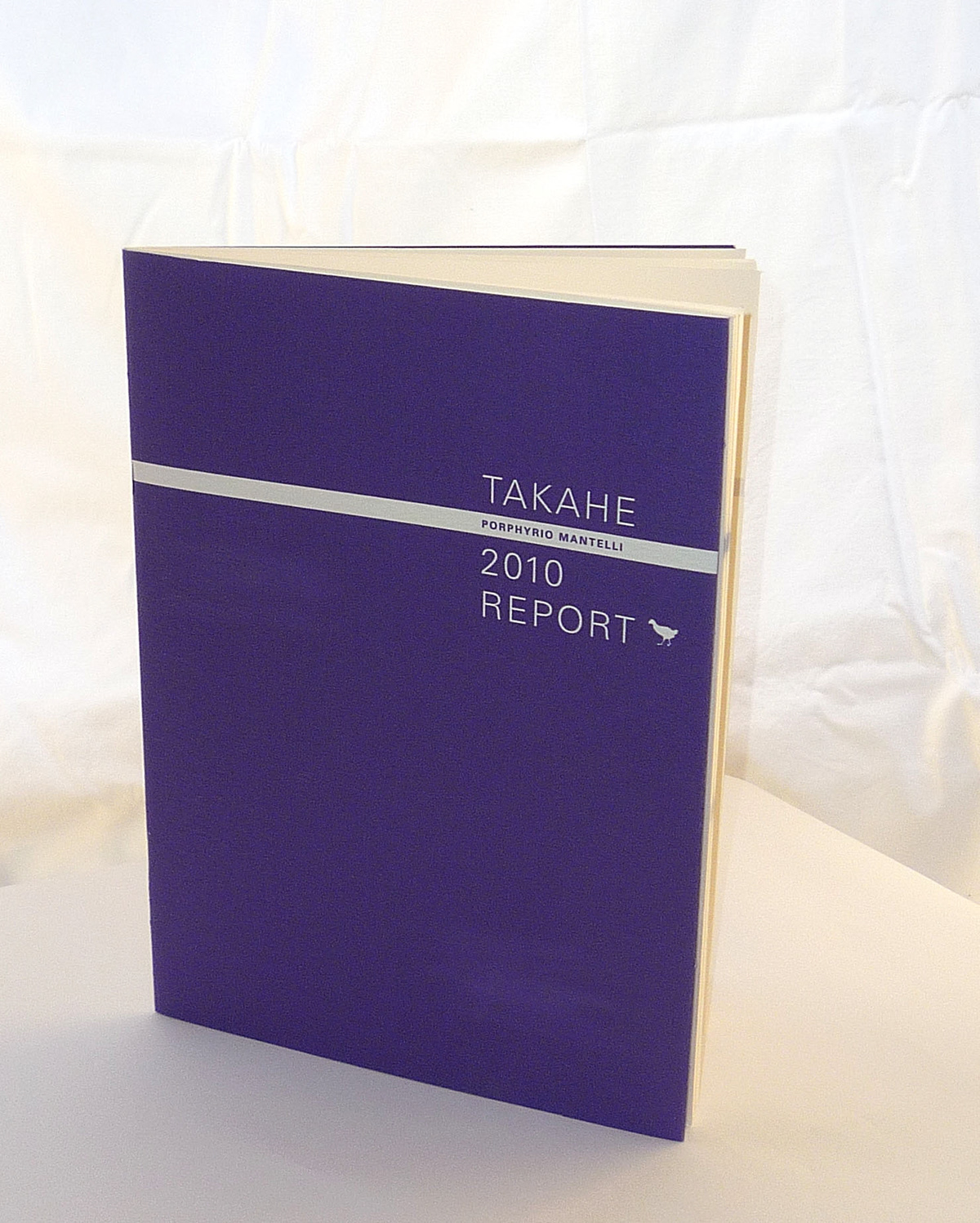information design infographics Takahe report New Zealand Booklet timeline