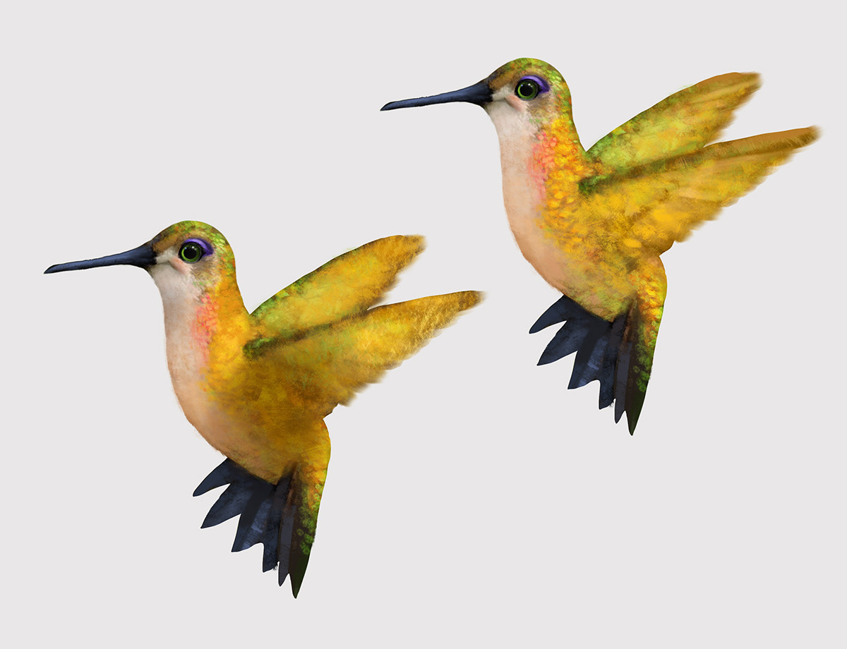 hummingbirds commercial design characters airstream nest Travel Trailer 3d modeling Procreate iPad