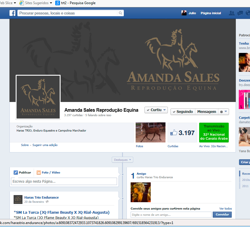 Amanda Sales vet cavalos horse