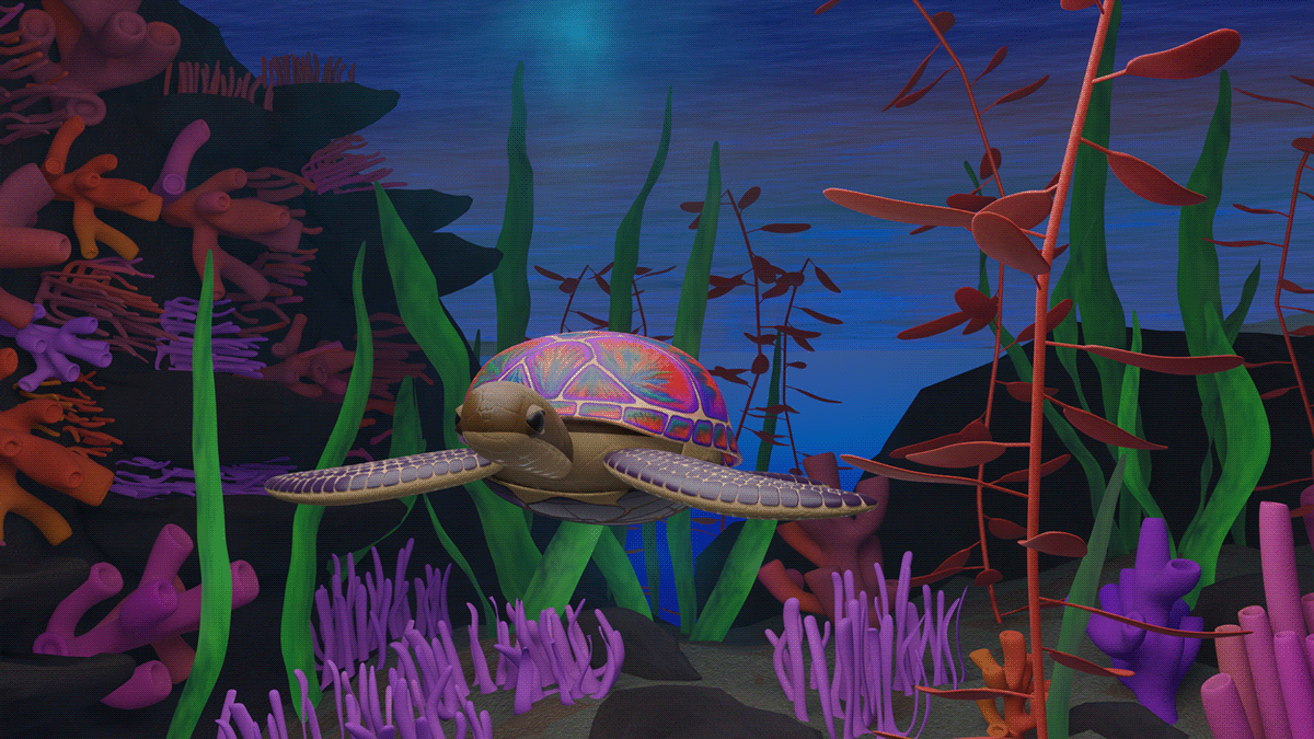 blender 3D Render 3d modeling 3d animation Ocean tortuga tortoise