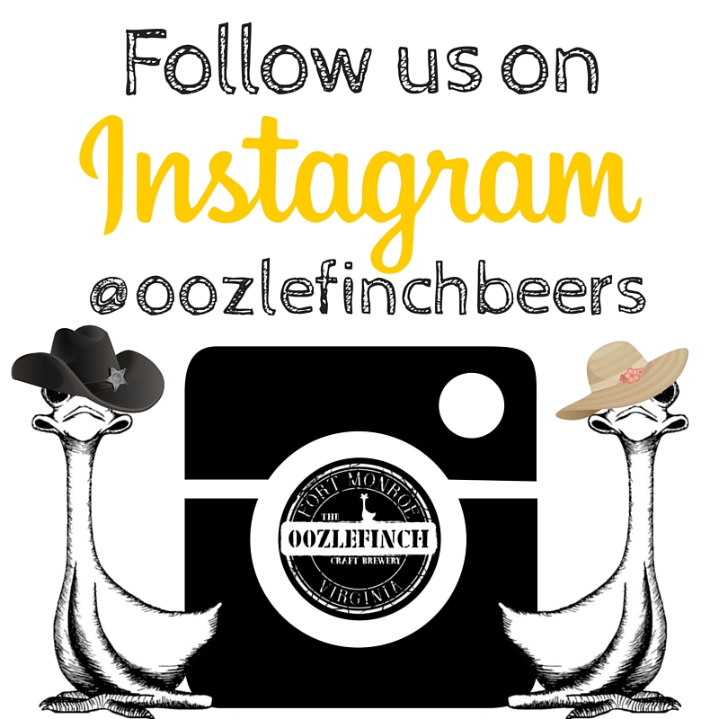 social media oozlefinch craft brewery local marketing   Multimedia  content creation print label design