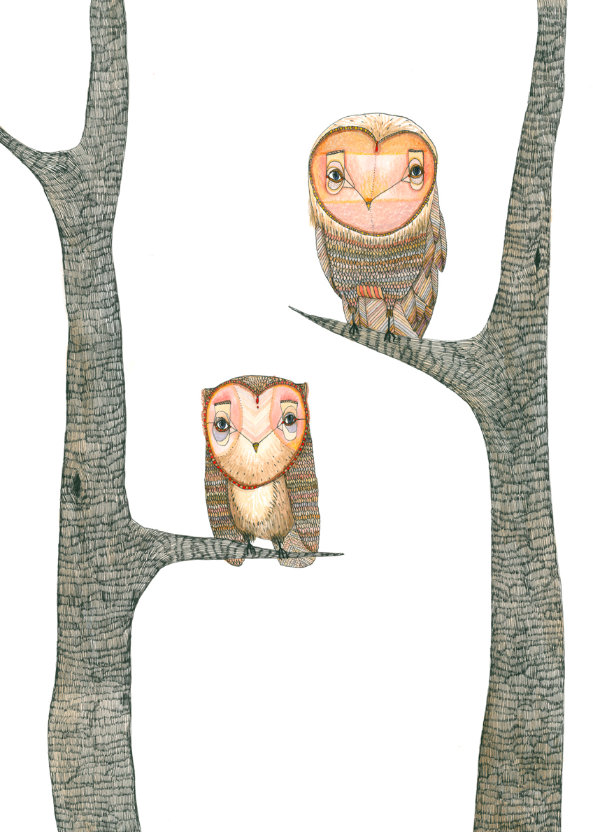 art Illustrator owls feathers owl watercolour pen paper giclee Fine Art Print
