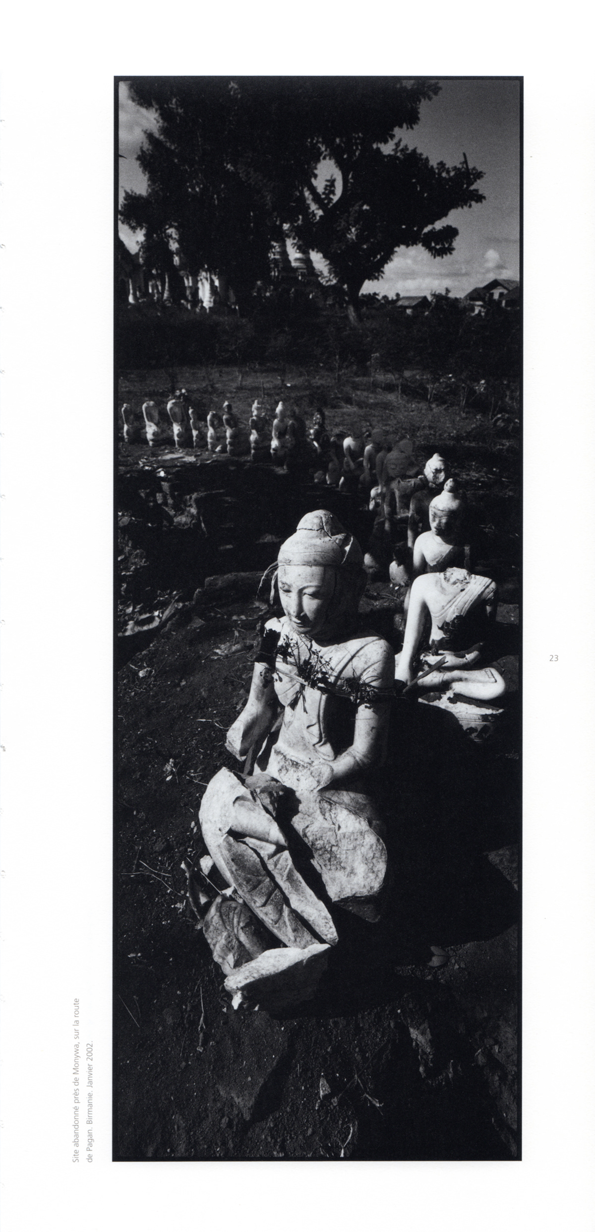 bouddha bouddhisme spiritualité asie Photographie design edition