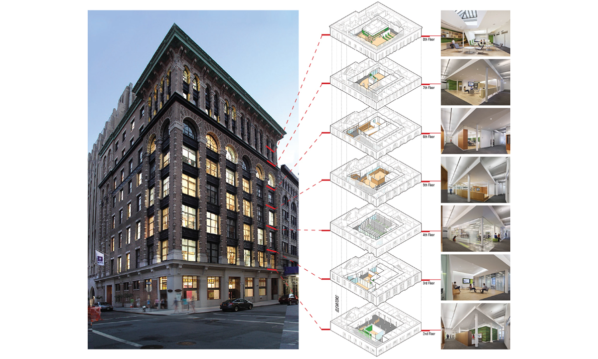 nyu New York University Manhattan ltlarchitects ltl ltl architects Education
