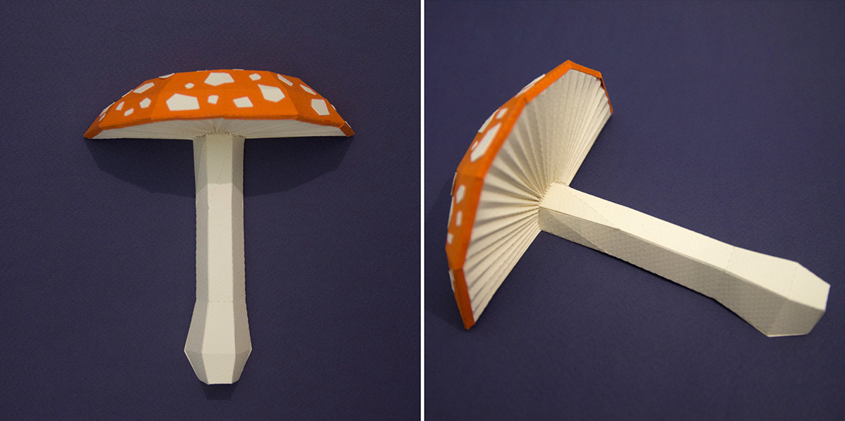 Fungi paper papercraft hongos mushroom amanita muscaria morchella setas lowpoly