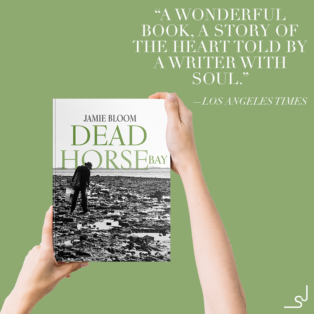 Photography  book Bookdesign Canon deadhorsebay dead horse bay book design publishing  