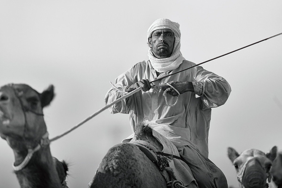Documentary  camels Camel Racing dubai tradition  traditional sport arab culture b&w  monochrome people  Faces  portraits training animals