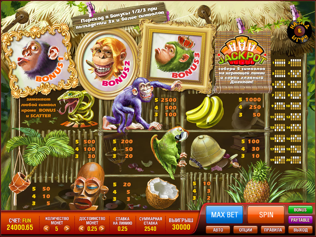 FUNKY MONKEY crazy monkey monkey slot machine forest casino jungle ape Coconut