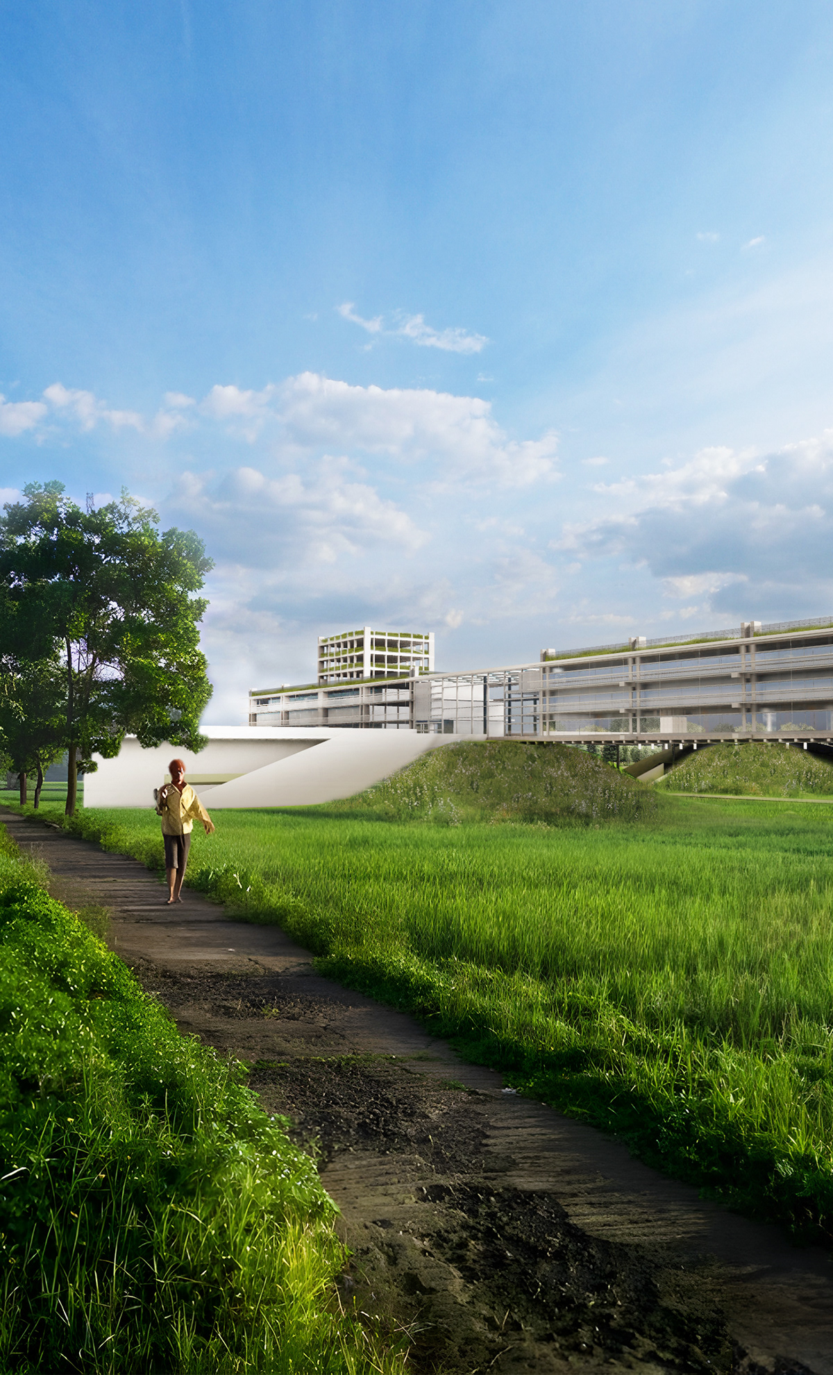 wetlands architecture 3D Render visualization archviz experimental housing