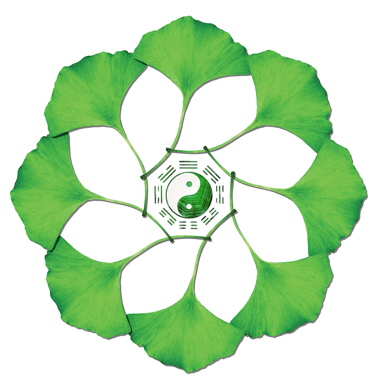 logo acupuncture herbalism design graphic Tai Ji
