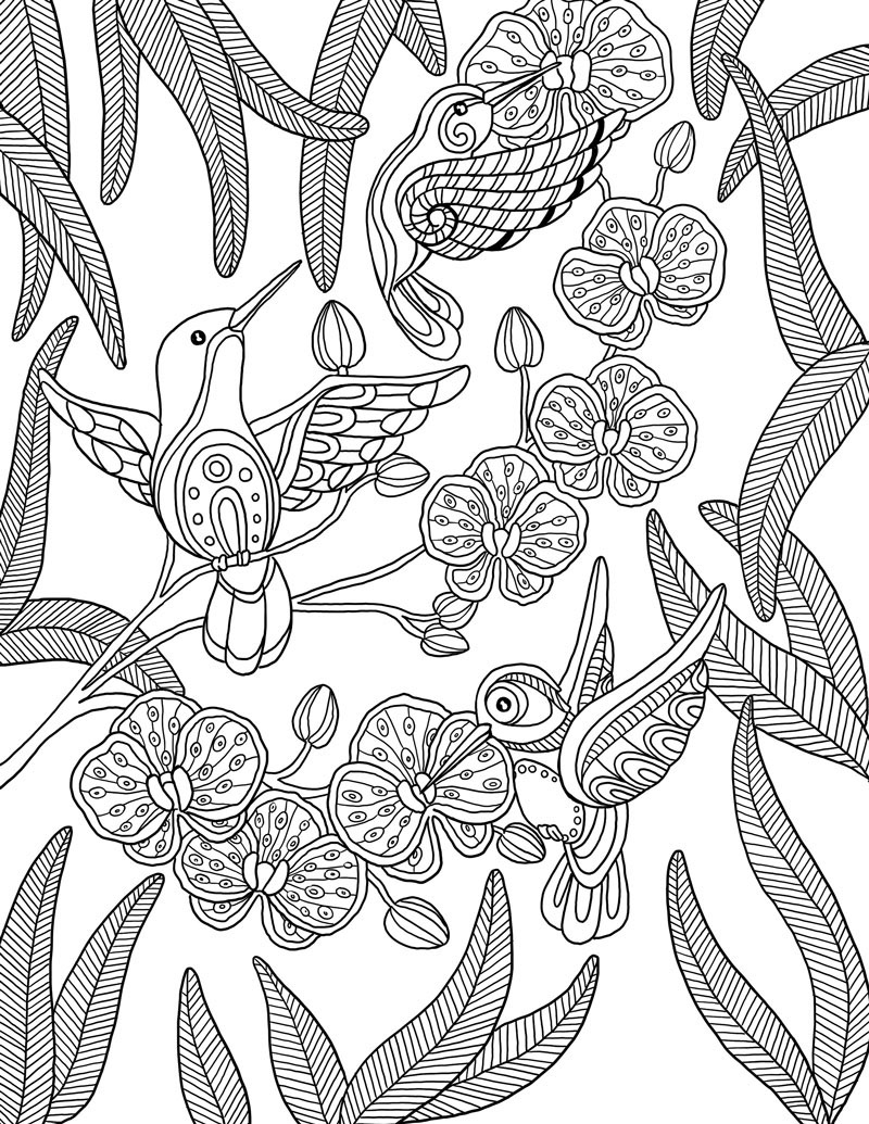 Adobe Portfolio ailes agenda coloring book line drawing wings birds