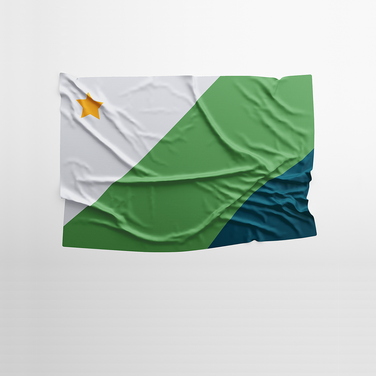 flag flag design