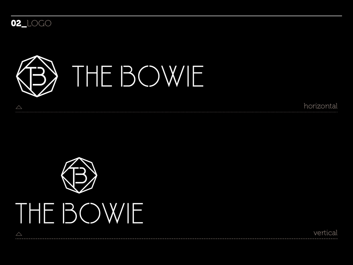 Bowie stars rhombus facets night lights minimal black and white
