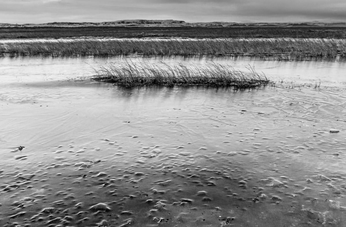 iceland dunes ice black & white winter cold Landscape metaphor