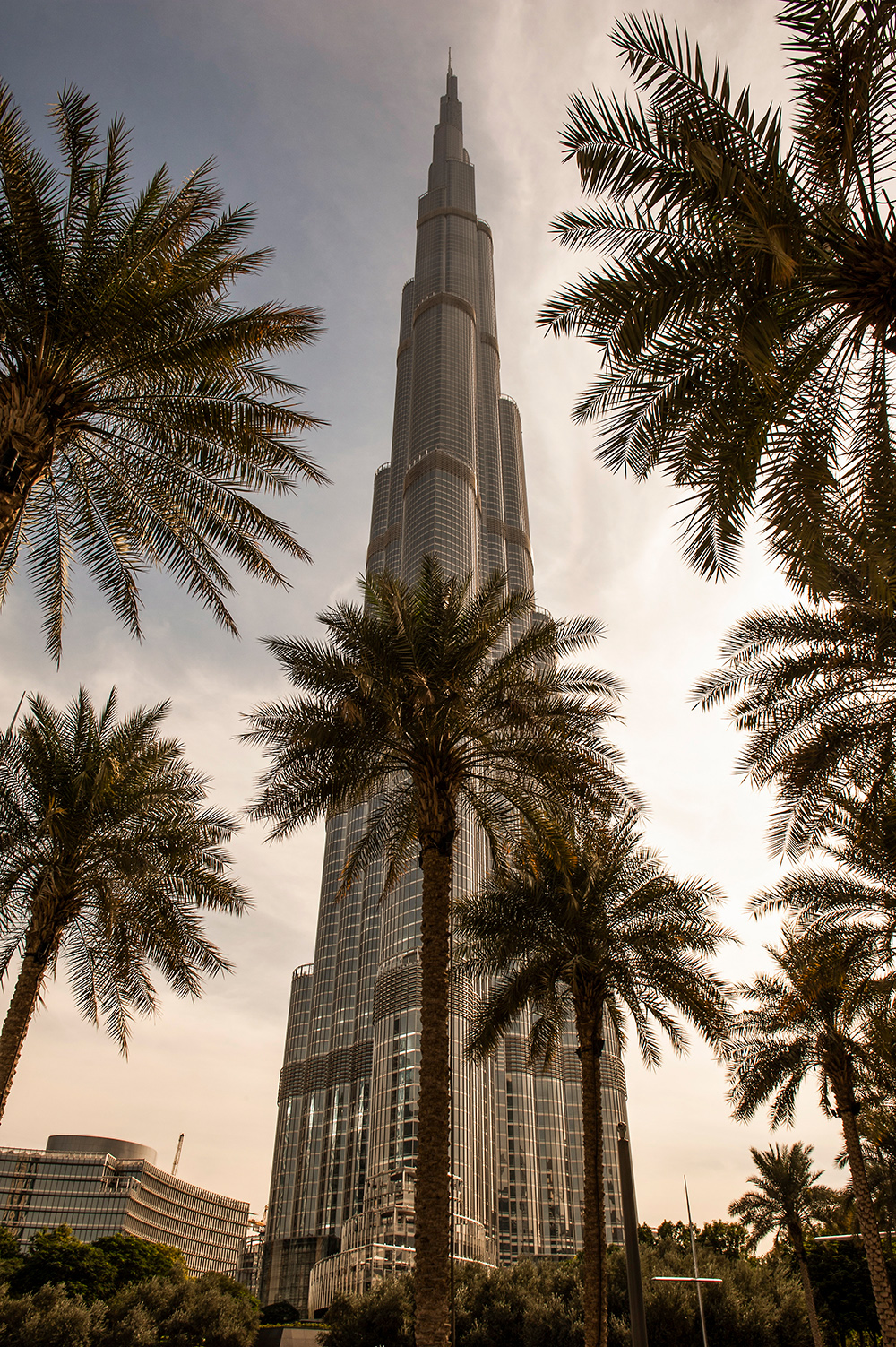 dubai city emirates sides rich people portrait Landscape