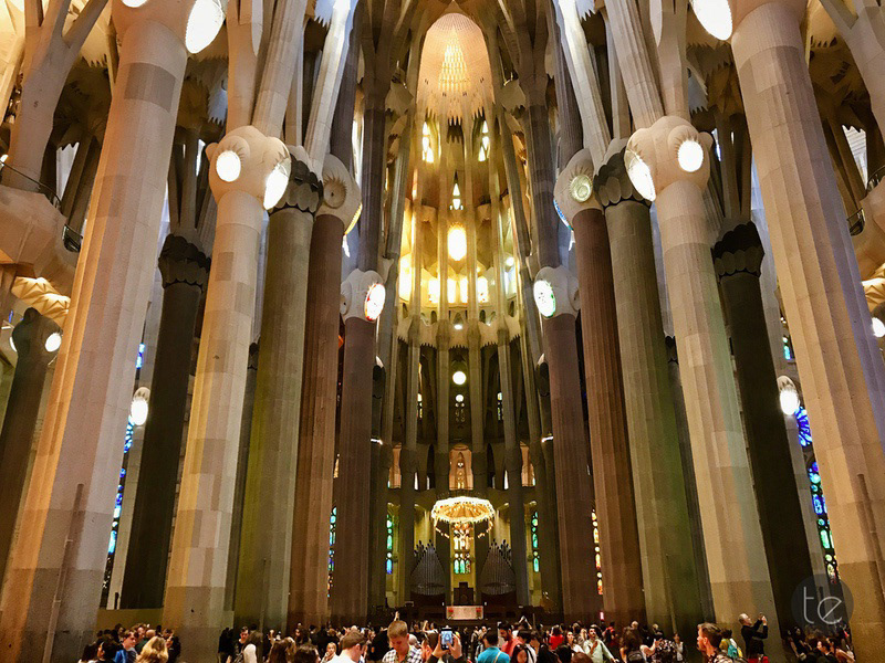 barcelona church Europe Interior La Sagrada Familia Photography  spain Travel