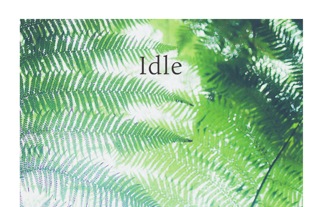 idle Idle Magazine magazine Emilie Delmond Nature beauté beauty growth CROISSANCE plantes publication feature