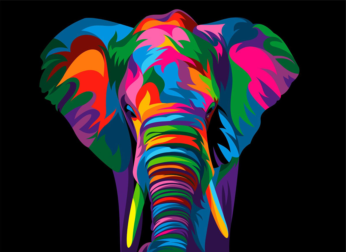 vector illustratiion rainbow colorful fullcolor artwork art animal wild Collection