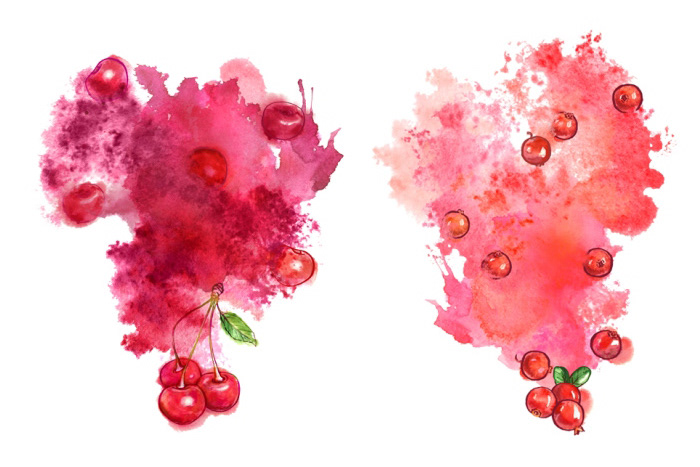 berry Fruit watercolor splash strawberry raspberry cranberry cherry blueberry orange