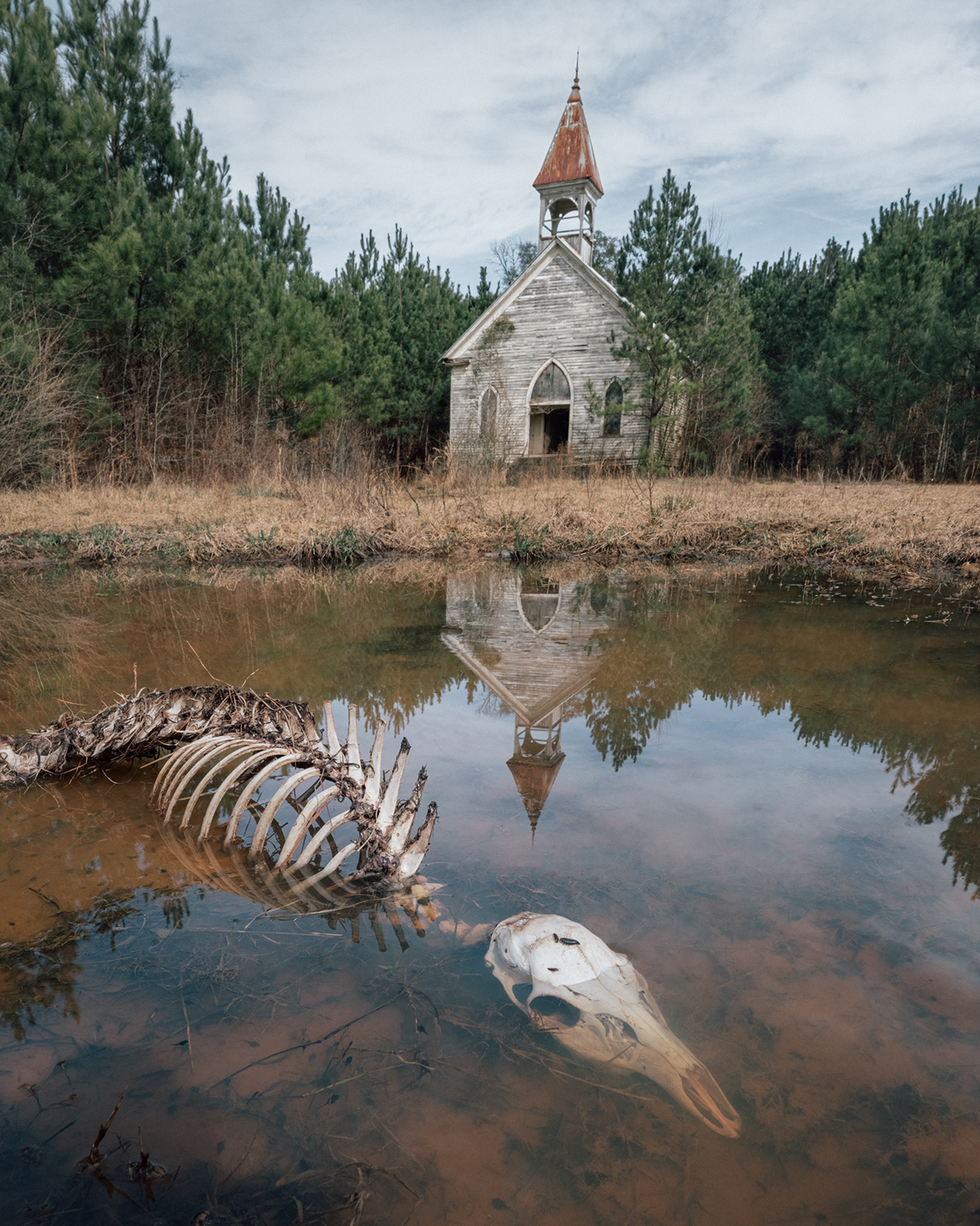 abandoned americana culture Documentary  Landscape louisiana mardi gras southern gothic swamp Travel