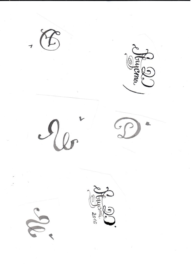 letters pen brush vectorbrush cyrilliclettering
