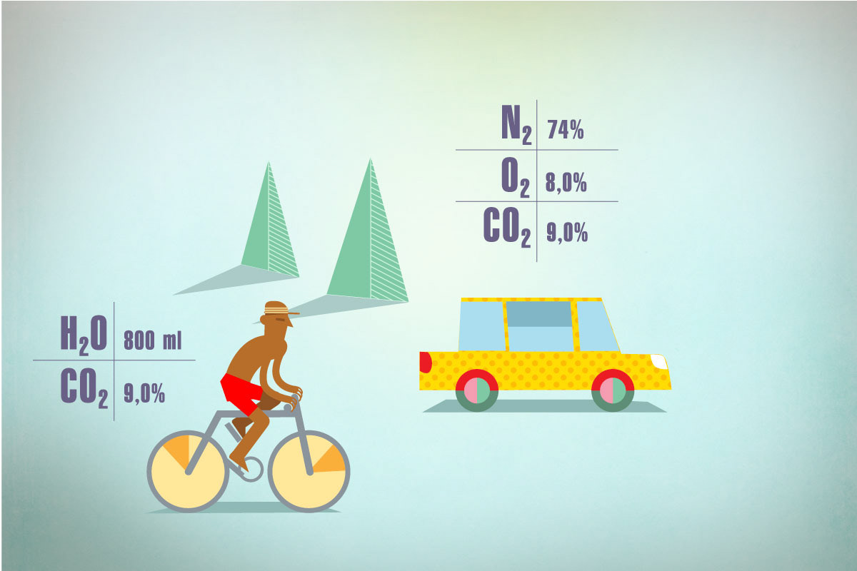 movie 2D Lamp cyclist vector graphics question mark