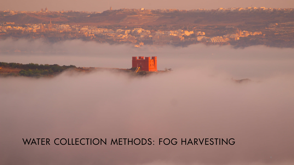 Dew fog harvesting freshwater rainwater harvesting Sustainable