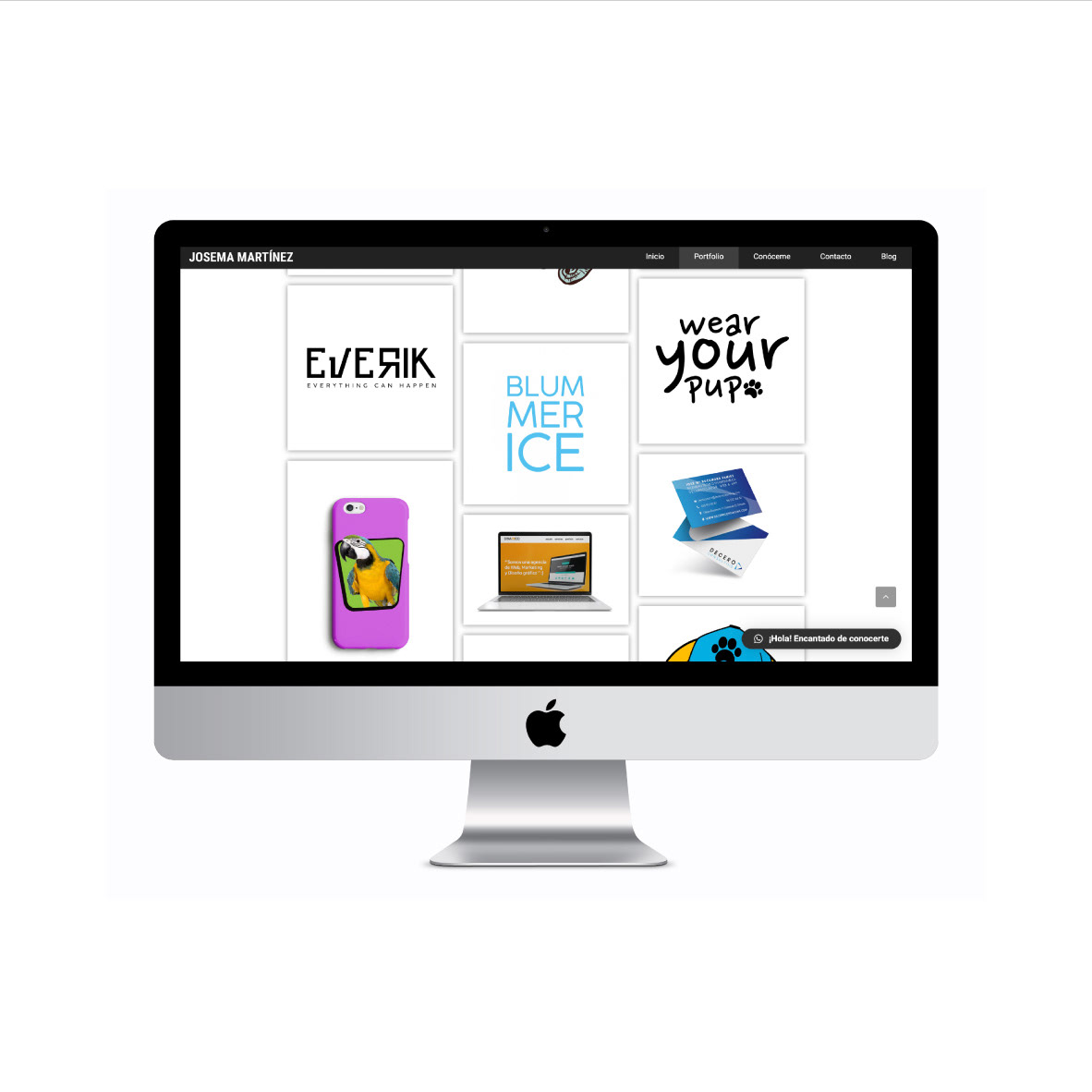 branding  copywriting  creatividad css3 diseño gráfico Diseño web Freelance HTML wordpress